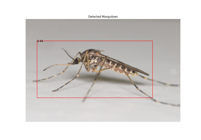Mosquito Detection Tutorial